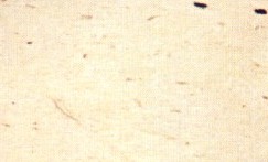 Piedra de Bernuy